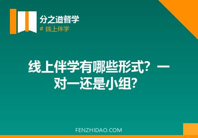 线上伴学有哪些形式?一对一还是小组?