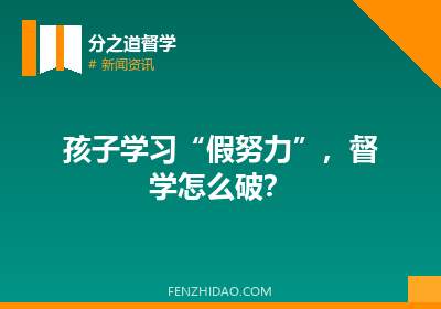 孩子学习“假努力”,督学怎么破?