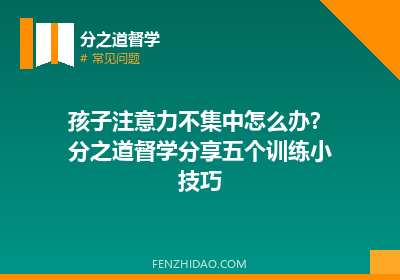 孩子注意力不集中怎么办？分之道督学分享五个训练小技巧