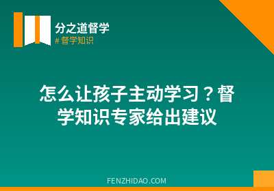 怎么让孩子主动学习？督学知识专家给出建议