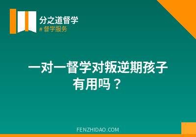 一对一督学对叛逆期孩子有用吗？