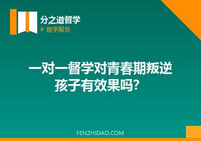 一对一督学对青春期叛逆孩子有效果吗？