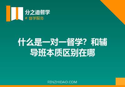 什么是一对一督学？和辅导班本质区别在哪
